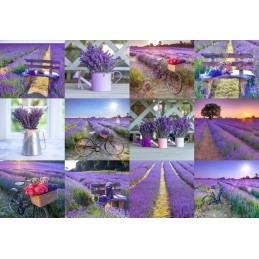 P. 75 LAVENDER FRANCE S