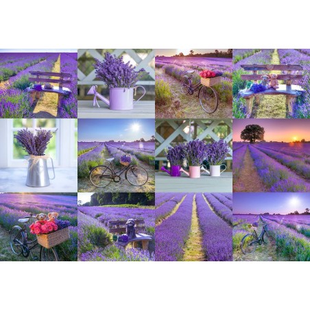 P. 75 LAVENDER FRANCE S