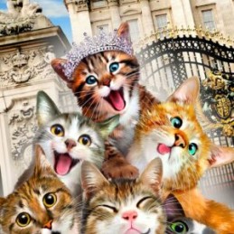P. 300 GATITOS EN LONDRES