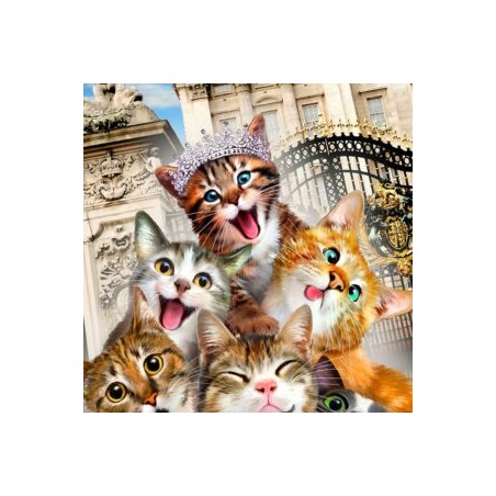 P. 300 GATITOS EN LONDRES