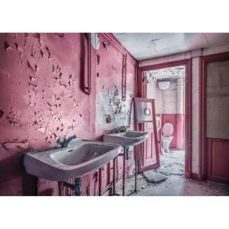 P. 1000 BAÑO ROSA EN RUINAS