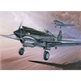 1:48 P-40C "FLYING TIGERS"