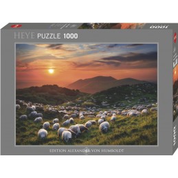 PUZZLE 1000 SHEEP AND...