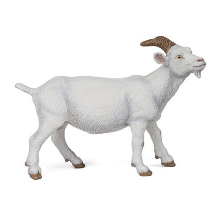 CABRA BLANCA