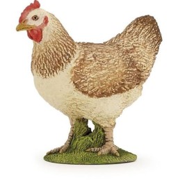 GALLINA