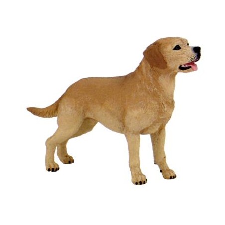 PERRO LABRADOR