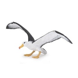 ALBATROS