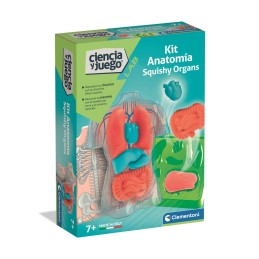 ANATOMIA SQUISHY ORGANS KIT